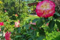 IMG-20240628-WA0004
