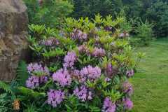 IMG-20240628-WA0007