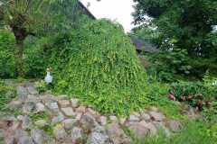IMG-20240628-WA0032